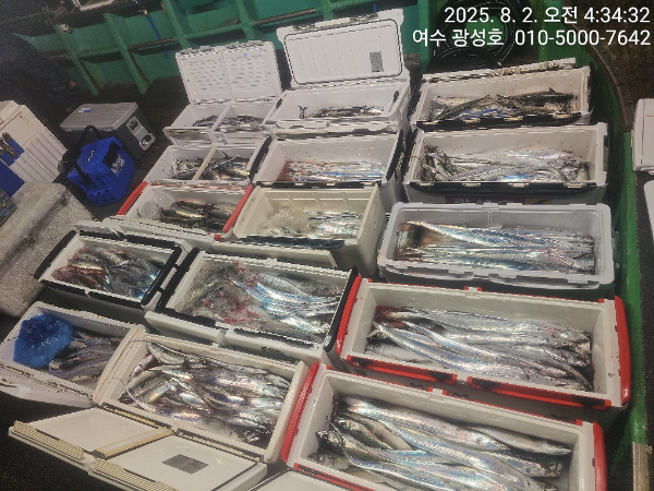 KakaoTalk_20250802_072714062_09.jpg