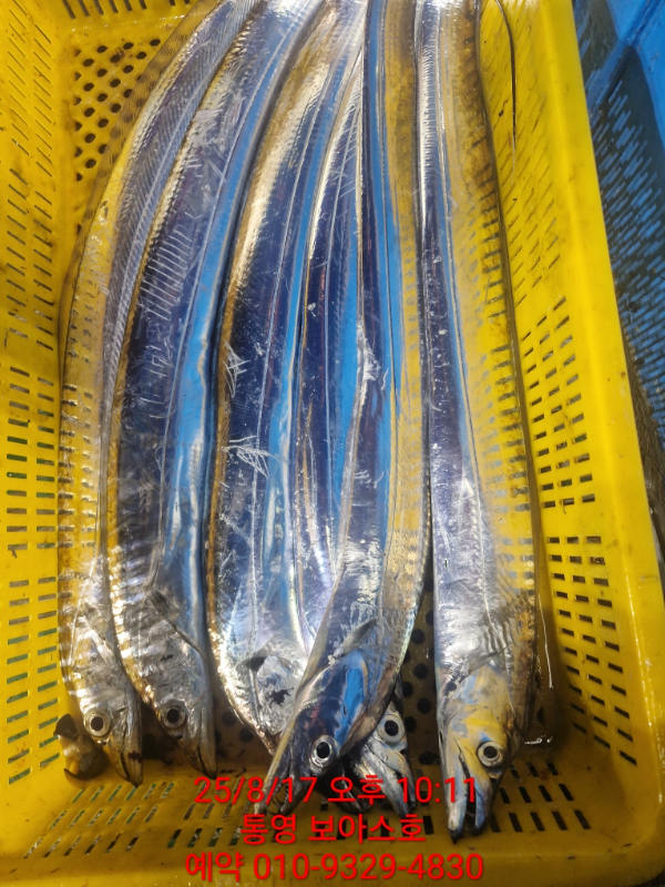 b753f9d8ada8fd0c682004d285001315.jpg