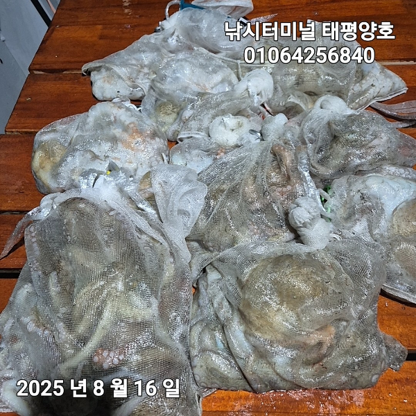 KakaoTalk_20250816_022629382_17.jpg