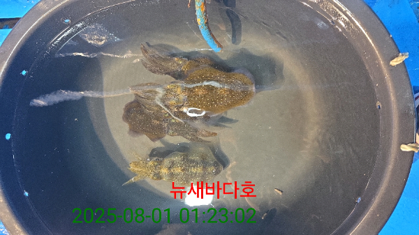 b7df9e02cd24638cacaa8c63291f9e6a.jpg