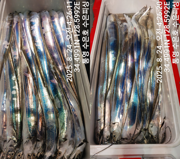 1755985130270-tile.jpg