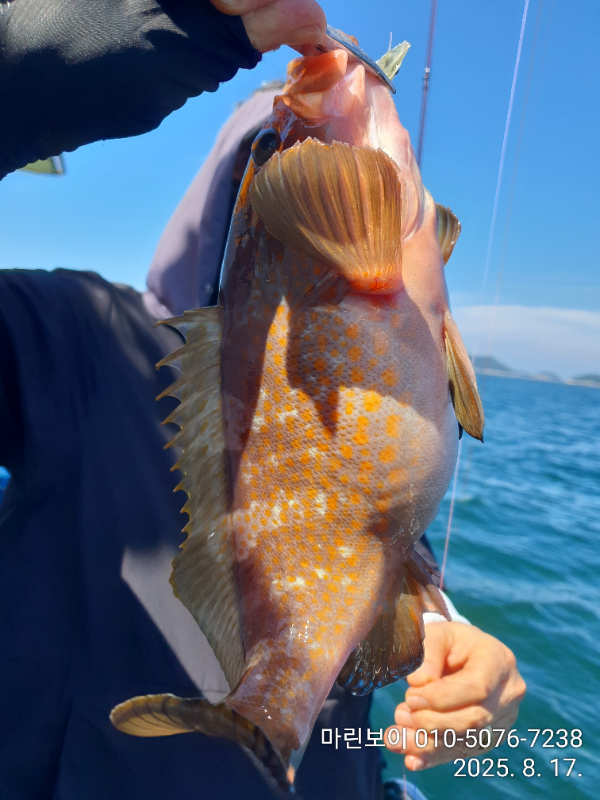 IMG_20250817_103441.jpg