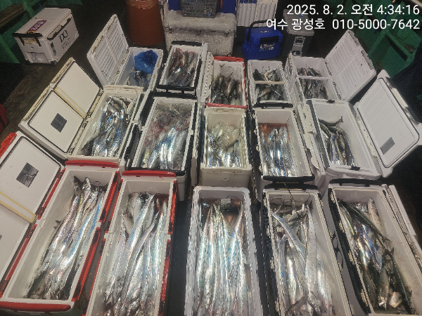 KakaoTalk_20250802_072714062_16.jpg