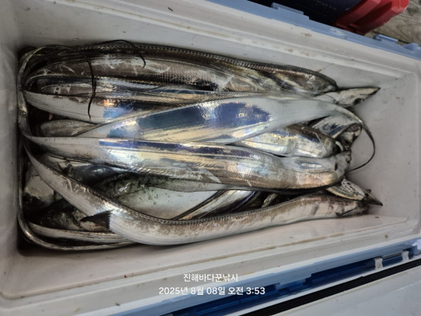 바다꾼낚시(신아라호)_사진_20250808_11.jpg