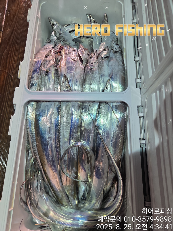 1000026174.jpg