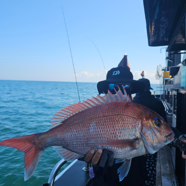 마검포 대한호(VIP)_사진_20250824_5.jpg
