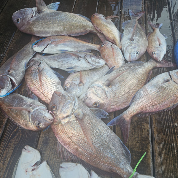 마검포 대한호(VIP)_사진_20250816_9.jpg