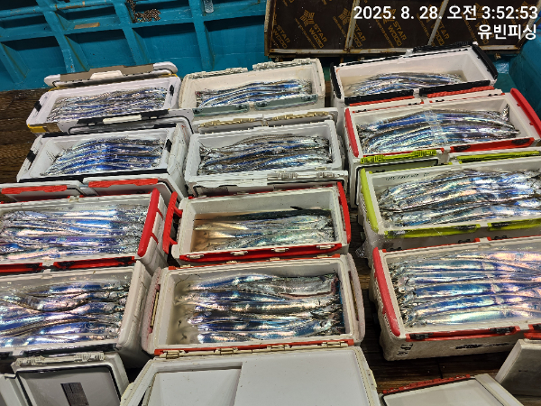 KakaoTalk_20250828_040405840_02.jpg