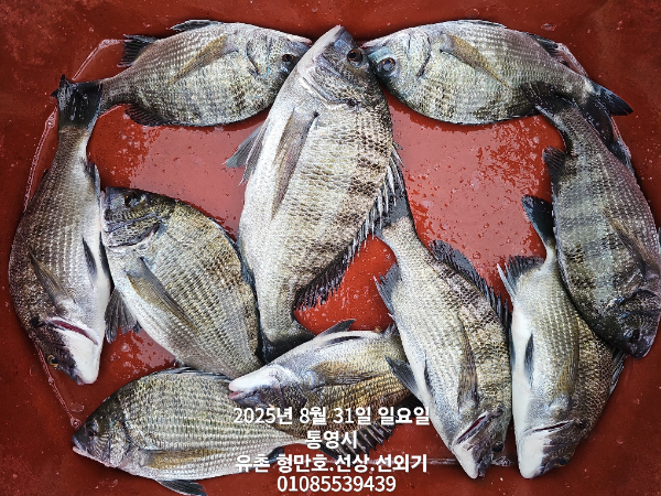 b9d0cb9168cb0ef258f23e132682dee2.jpg