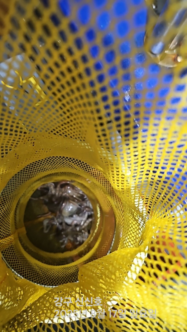 신신낚시 강구점 신신호_사진_20250817_11.jpg