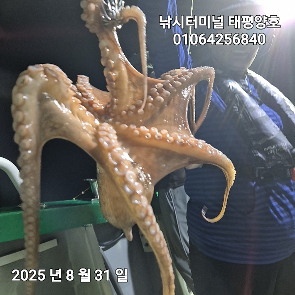 KakaoTalk_20250831_023840329_13.jpg