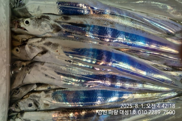 ba9976d32b6d2c5f8b94ef33b0c3197b.jpg