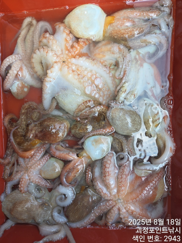 KakaoTalk_20250818_150618773_04.jpg