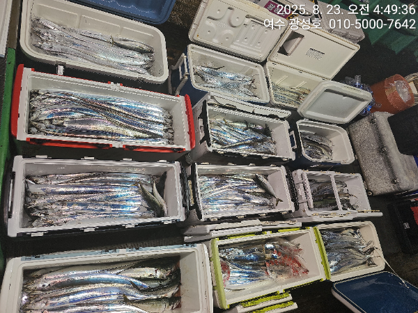 KakaoTalk_20250823_172651676_07.jpg