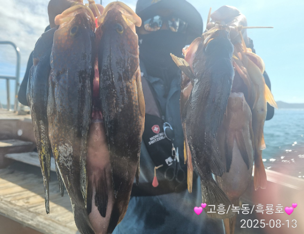 12027.jpg