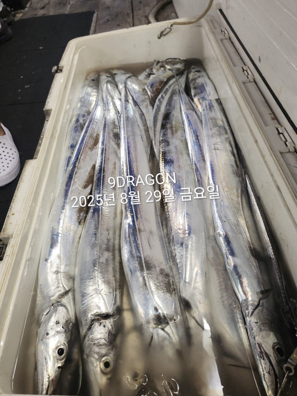 B7CE96F2-6C0D-41AB-96E4-D53A8170CB64.jpeg