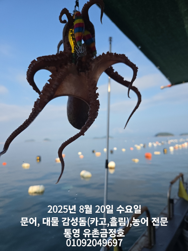 1000041660.jpg