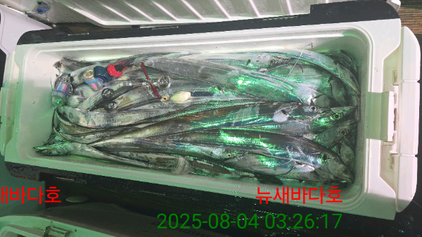 bd87f016bad484df714682eaae25acb9.jpg