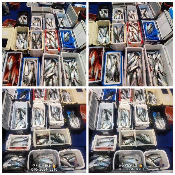 PhotoCollage_1754359891173.jpg
