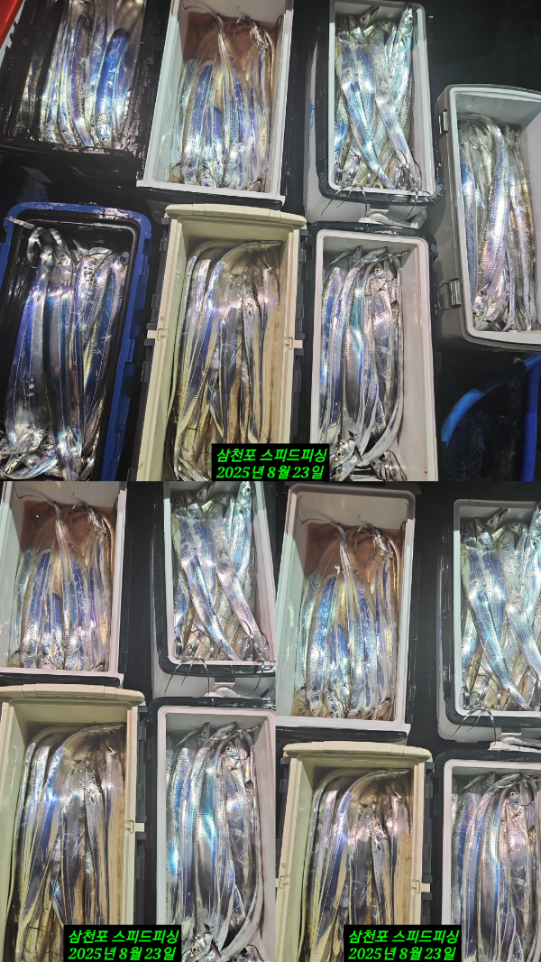 KakaoTalk_20250825_170941988.jpg