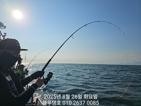 20250826_075542.jpg
