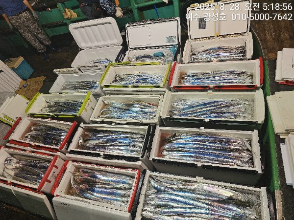 KakaoTalk_20250828_184111505_09.jpg