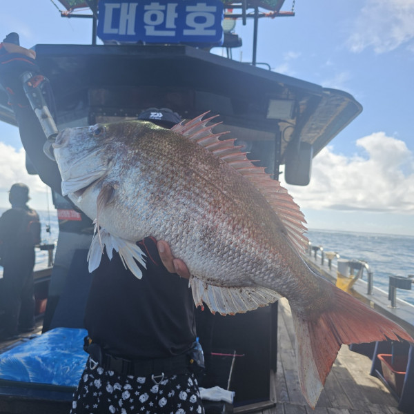 마검포 대한호(VIP)_사진_20250816_3.jpg