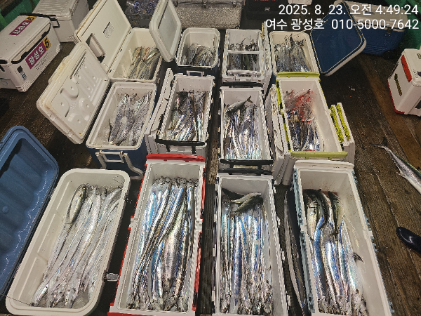 KakaoTalk_20250823_172651676_09.jpg