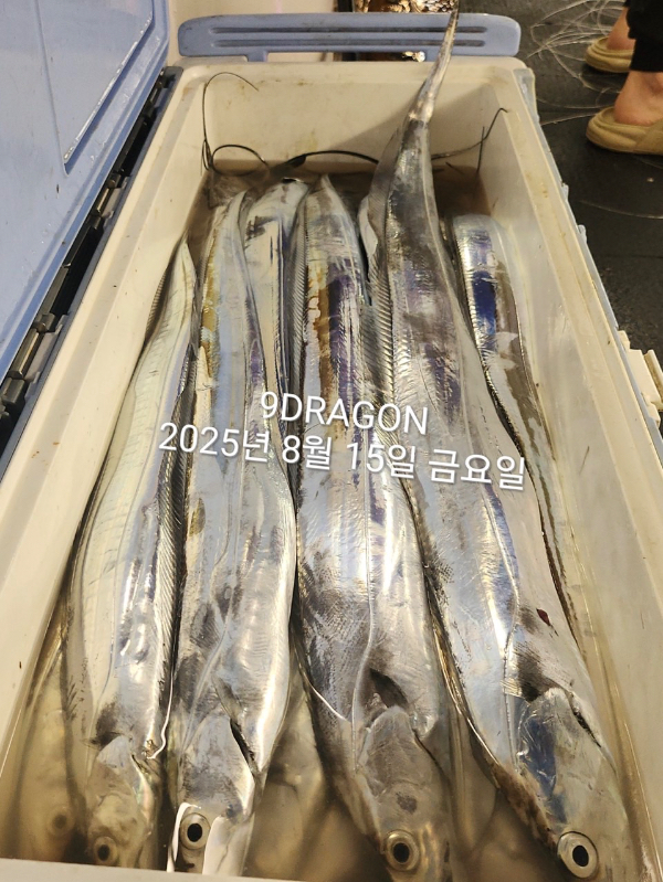 38345AB7-082A-48D1-8E5B-B76B0969F011.jpeg