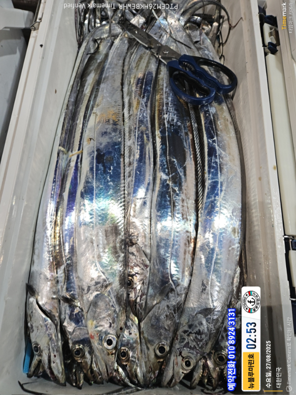 2025-08-27 02.53.27_대한민국_(제목-뉴블루마린호)_(예약전화 010 8924 3131).jpg