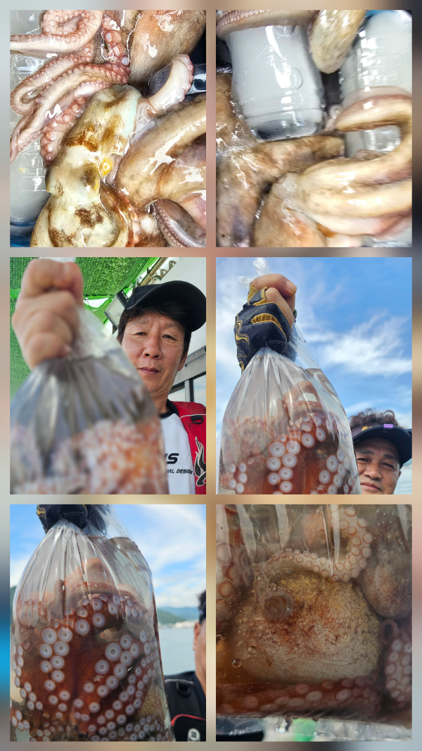 c07249ab1c3f8f1fa3bf80e72dc79579.jpg