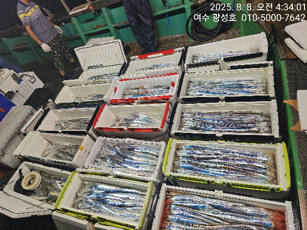 IMG_3422.jpeg