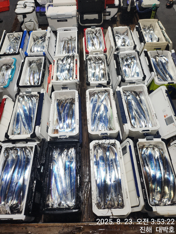 KakaoTalk_20250823_192442687_23.jpg