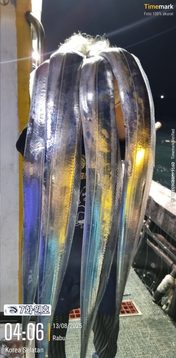 제주갈치낚시 화원호_사진_20250813_11.jpg