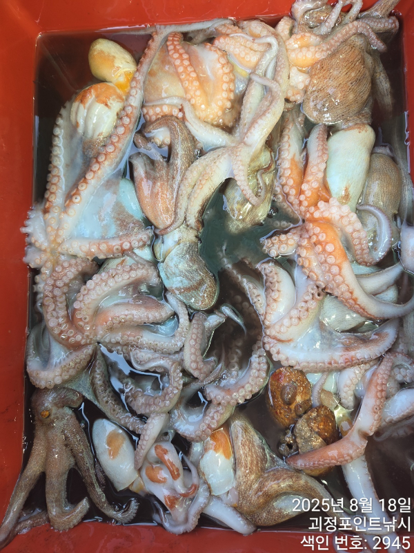 KakaoTalk_20250818_150618773_07.jpg