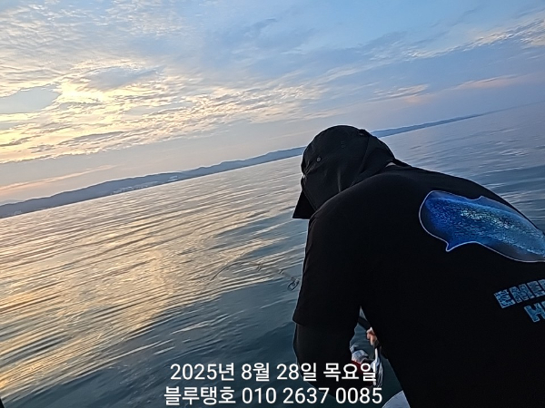 20250828_183335.jpg