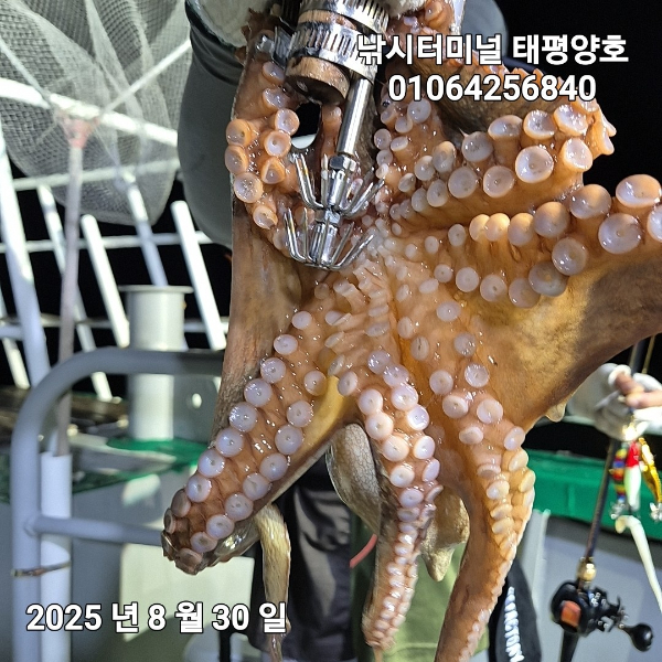 KakaoTalk_20250831_023840329_05.jpg