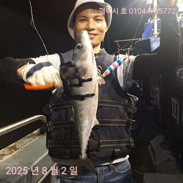 군산 선상낚시, 바다낚시 출조 전문 ☆서군산낚시☆_사진_20250803_18.jpg