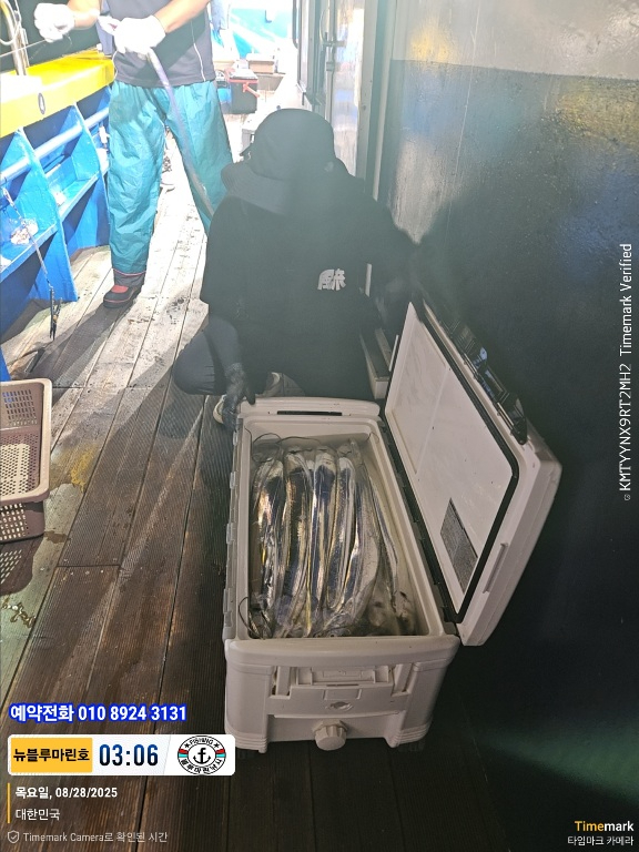 2025-08-28 03.06.23_대한민국_(제목-뉴블루마린호)_(예약전화 010 8924 3131).jpg
