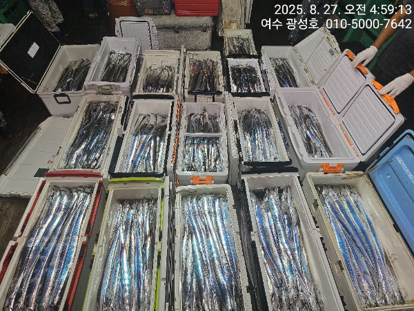 KakaoTalk_20250827_180442912_19.jpg