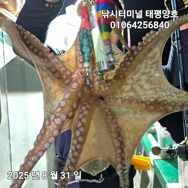 KakaoTalk_20250831_023840329_15.jpg