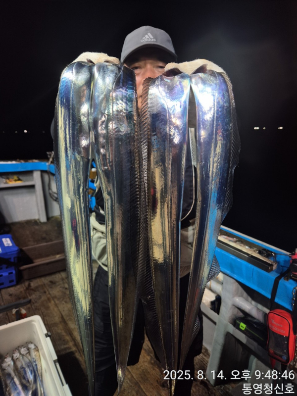 바다의 전설 부평25_사진_20250815_10.jpg