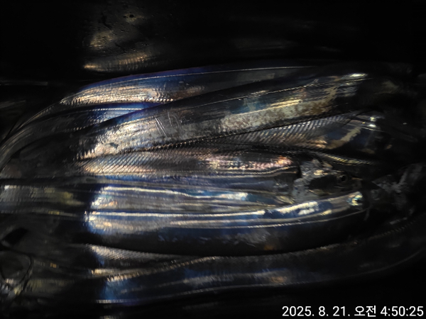 c425b449fe4b8c231672766756a0398a.jpg