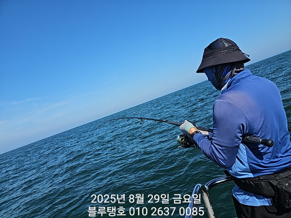20250829_150427.jpg