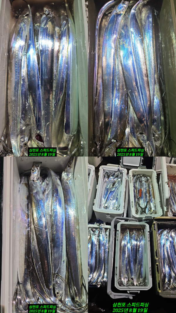 1000063977.jpg