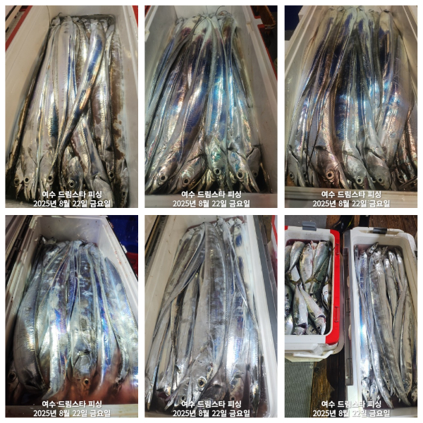 c45bab956739e06e46ff0ad84791e1dd.jpg