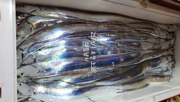 Screenshot 2025-08-02 at 09.30.19.JPG