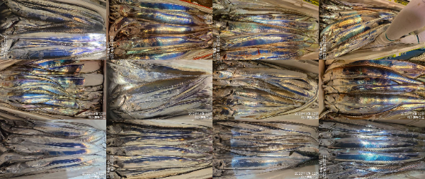 1755836141990.jpg