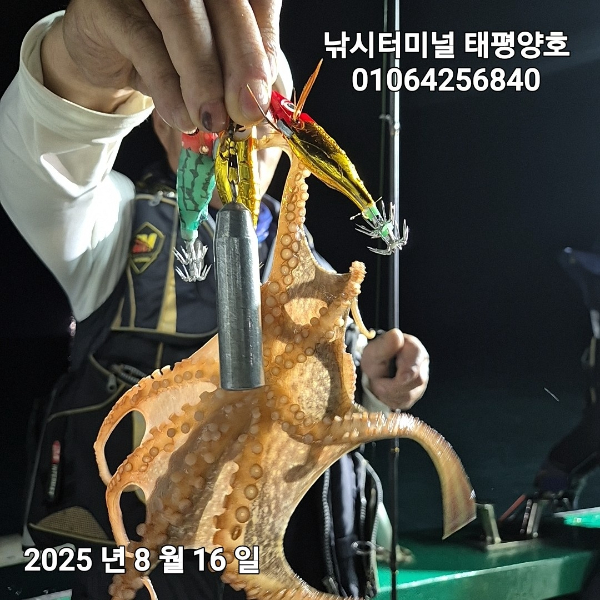 KakaoTalk_20250817_023046900_09.jpg