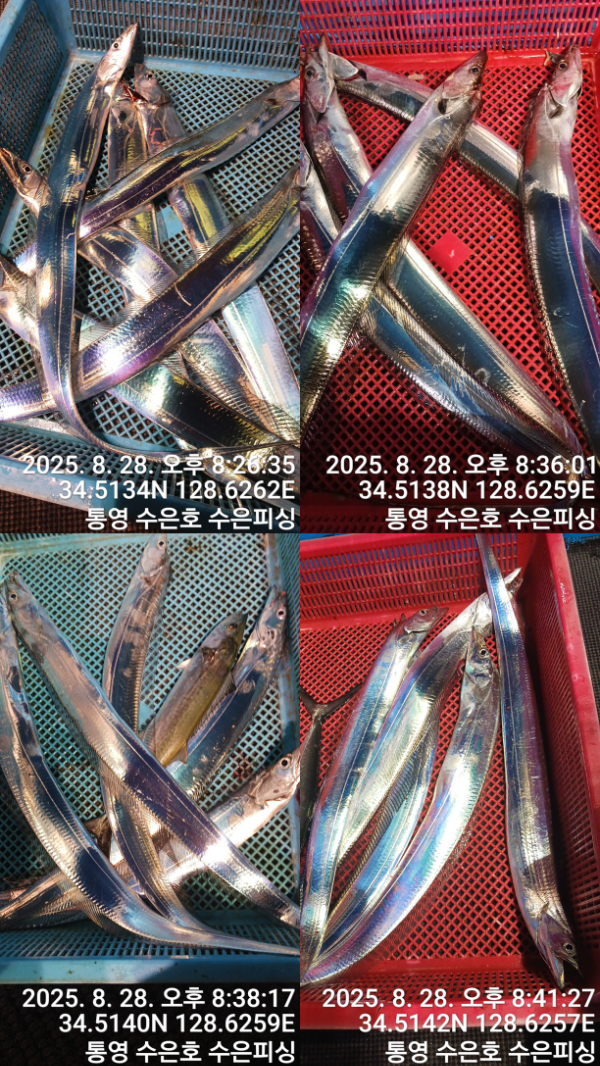 1756414604110-tile.jpg